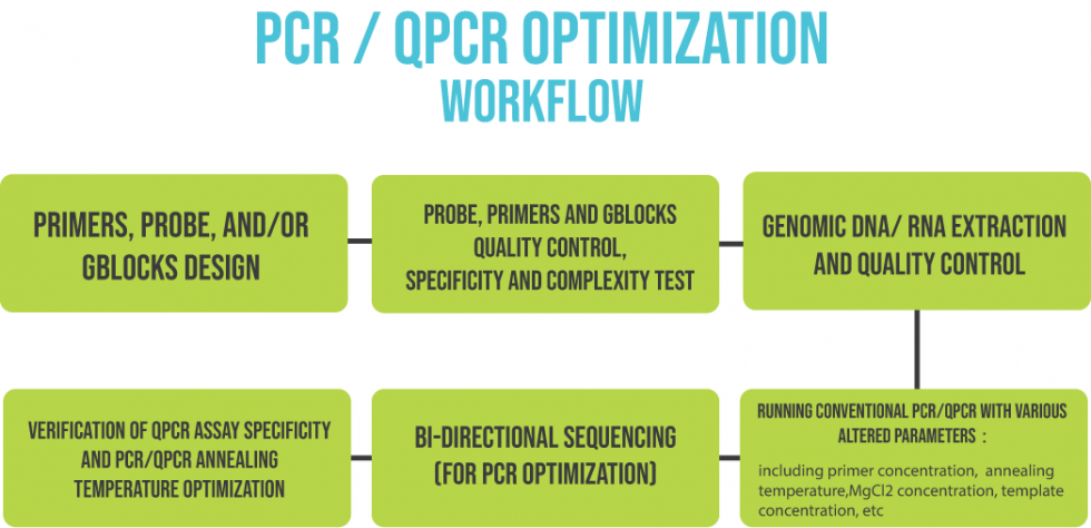 Optimatization For Pcr Qpcr Genetika Science