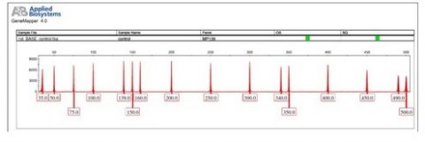 Fragment Analysis Services – Genetika Science