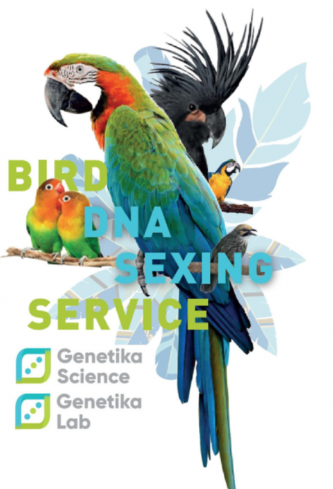 Bird Dna Sexing Services Genetika 5692