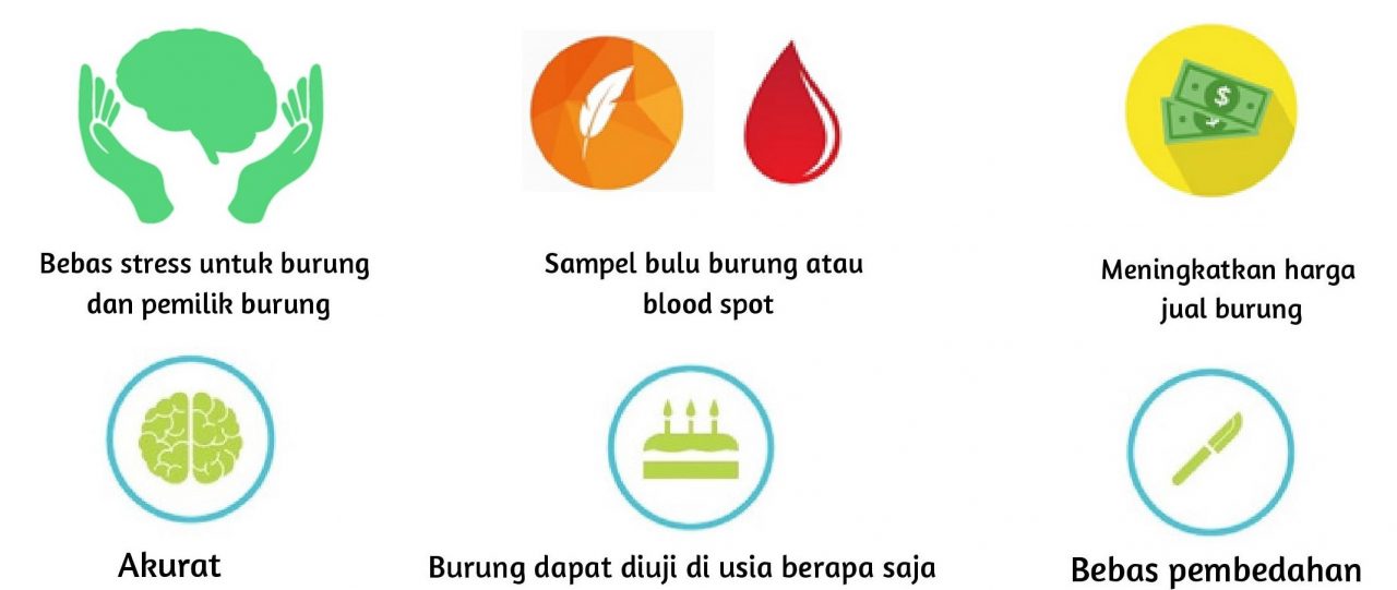 Bird dna sexing services genetika science