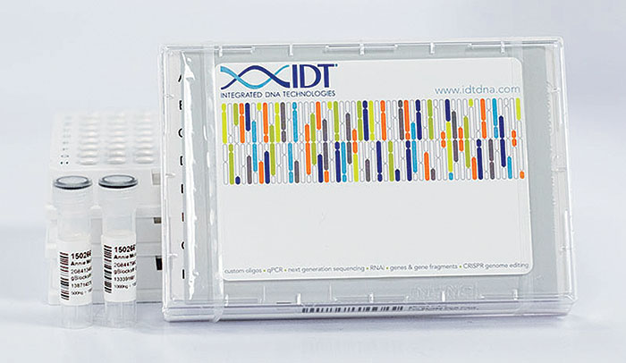 Idt Dna Oligos RNA Oligos And Ultramer RNA Oligos LTGCJ