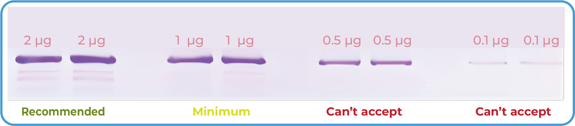 proteomic identification