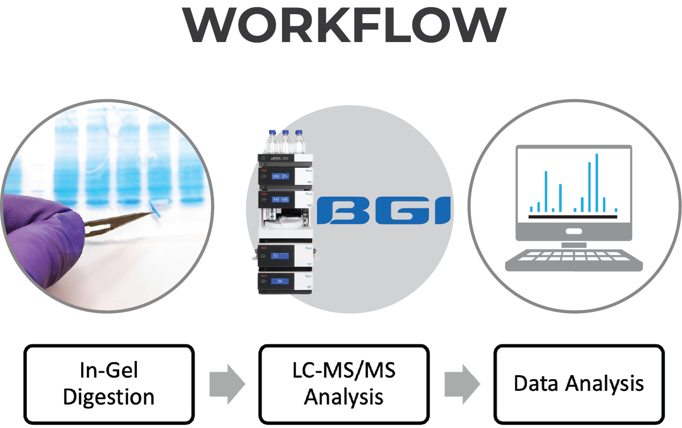 proteomic identification