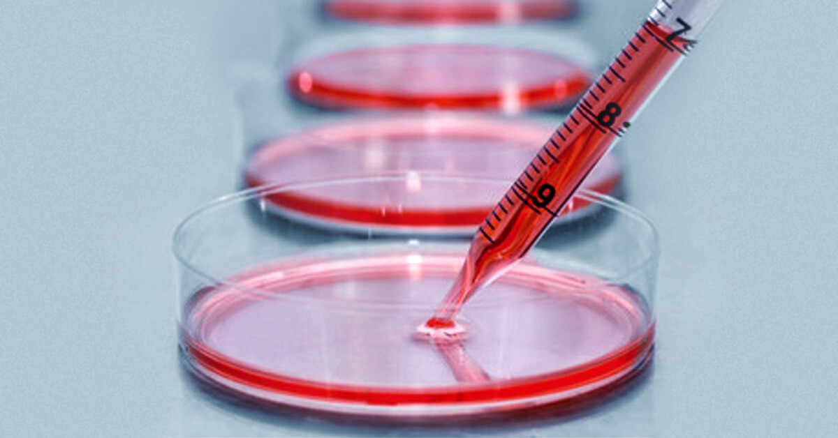 39_Cell-Culture-Media